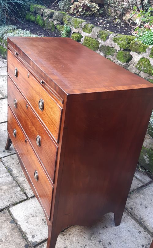 MAHOGANY CHEST OF DRAWERS REGENCY - ADDITIONAL PHOTO 6