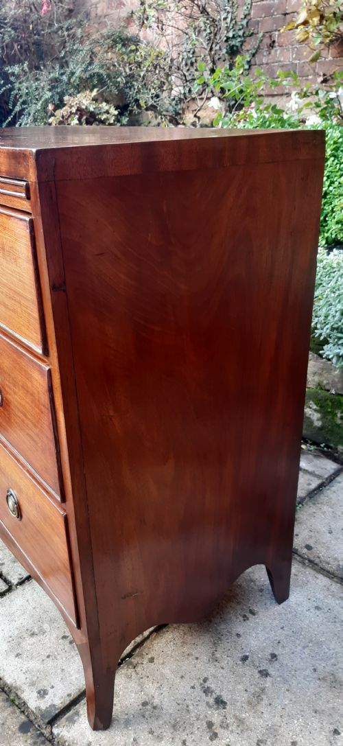 MAHOGANY CHEST OF DRAWERS REGENCY - ADDITIONAL PHOTO 8