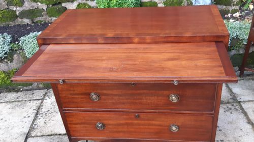 MAHOGANY CHEST OF DRAWERS REGENCY - ADDITIONAL PHOTO 10