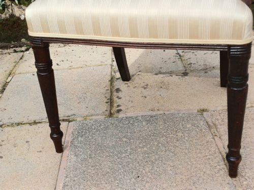 REGENCY MAHOGANY CARVER ARM CHAIR - ADDITIONAL PHOTO 4