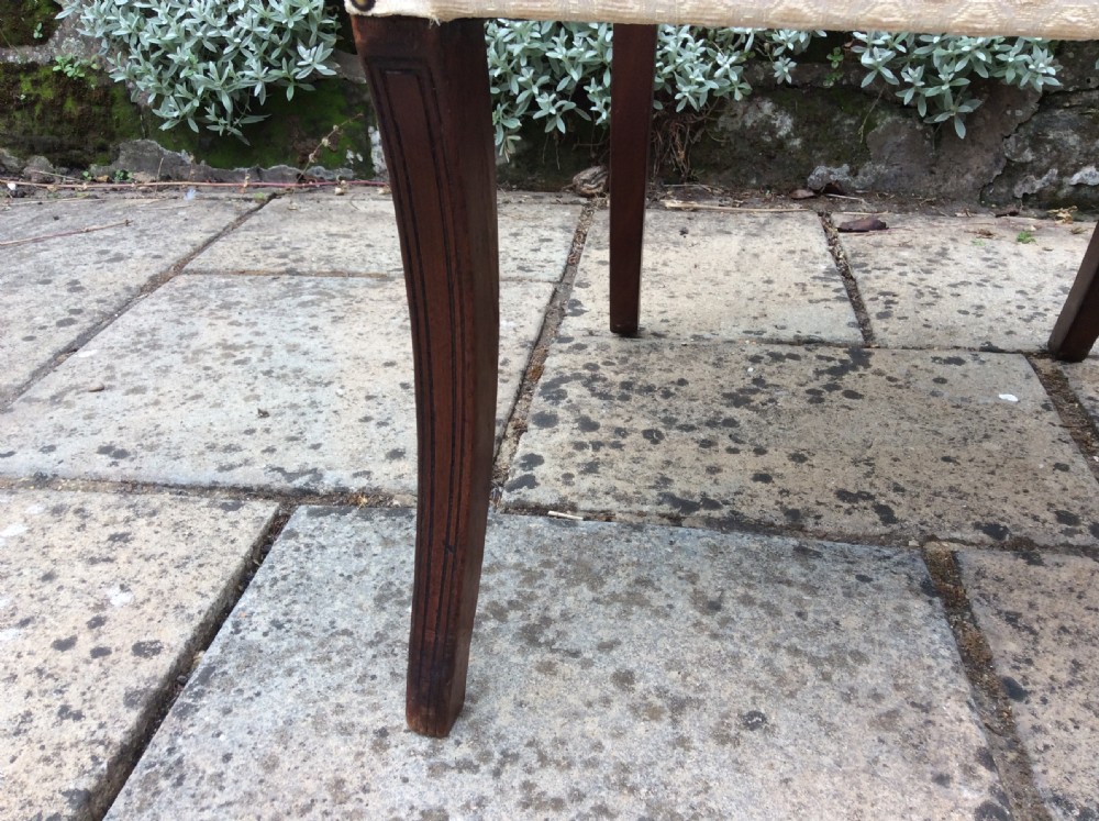 Regency elbow, carver, armchair  View V