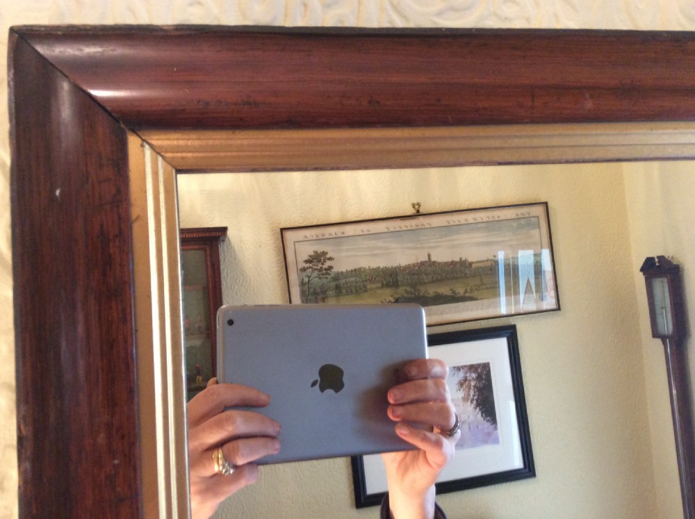 Victorian rosewood mirror View II