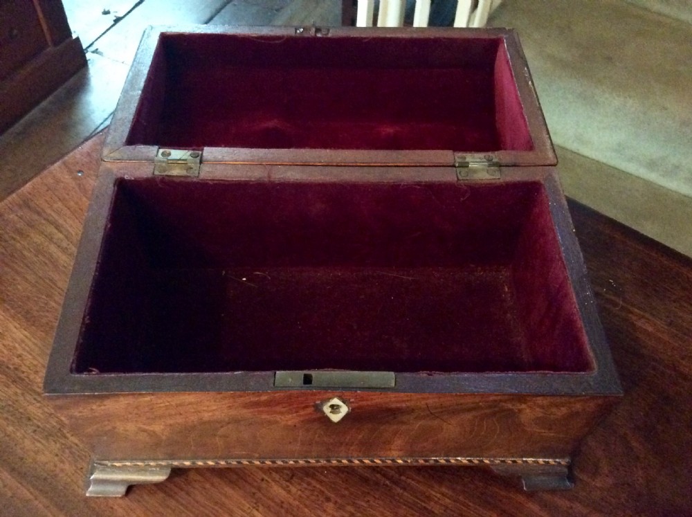 Georgian mahogany tea caddy View IV