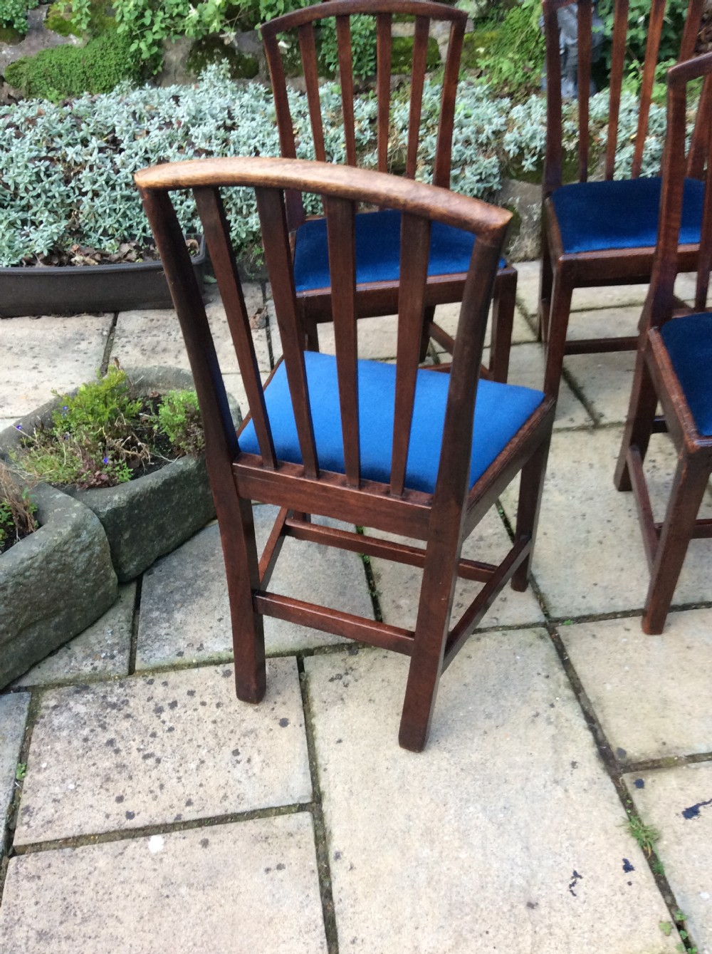 Set of six mahogany Georgian dining chairs View III