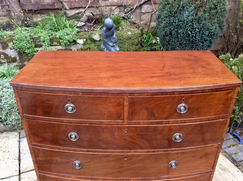 Mahogany bow fronted chest of drawers View IV