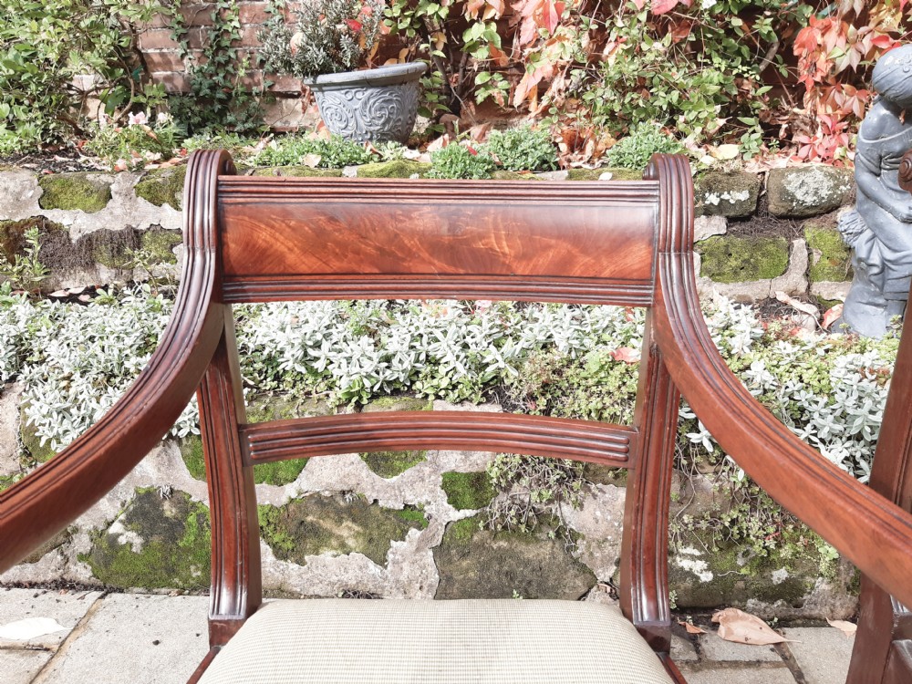 Pair of Regency elbow chairs View II