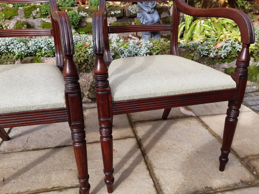 Pair of Regency elbow chairs View VI