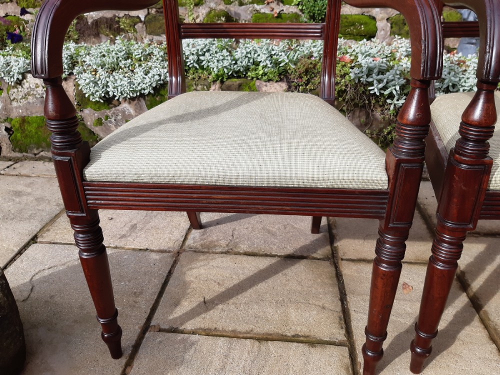 Pair of Regency elbow chairs View VII