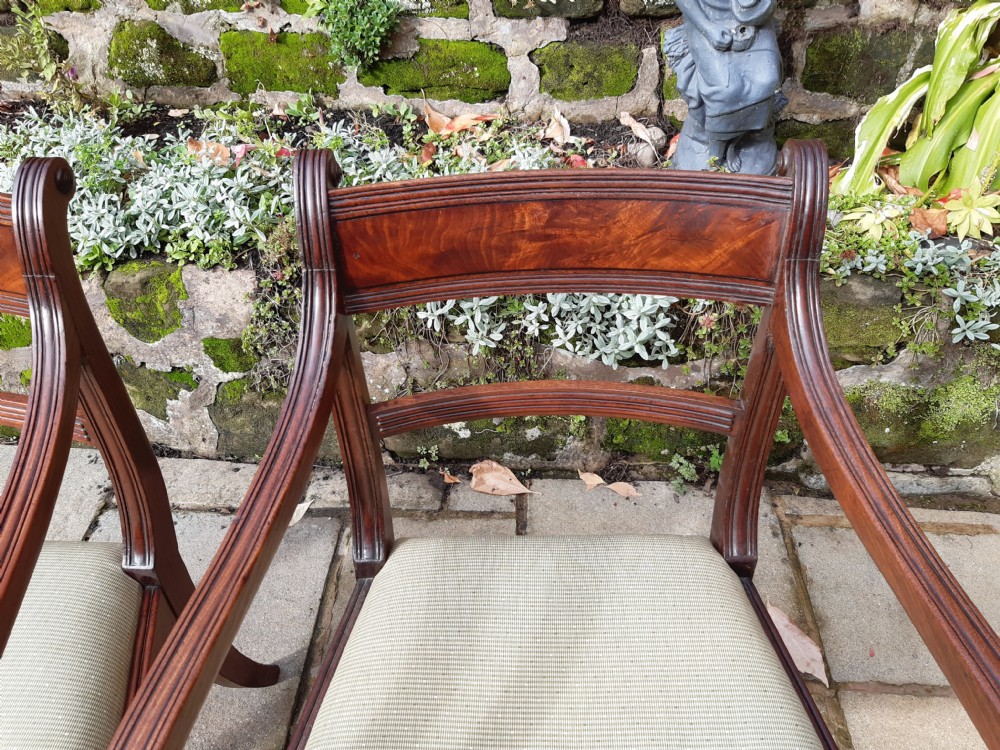Pair of Regency elbow chairs View VIII