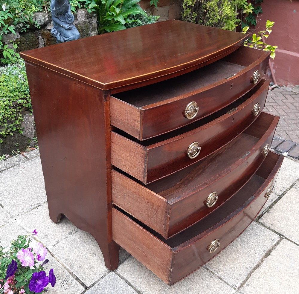 Superb small mahogany bow front chest  of drawers  View V