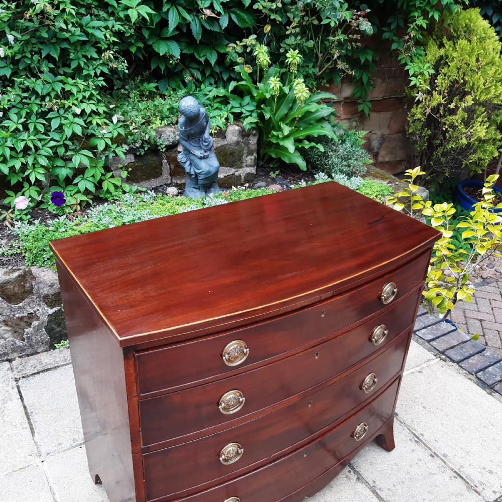 Superb small mahogany bow front chest  of drawers  View VI