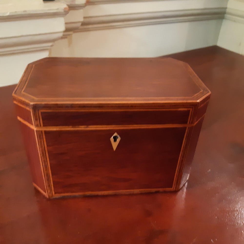 Partridge wood tea caddy