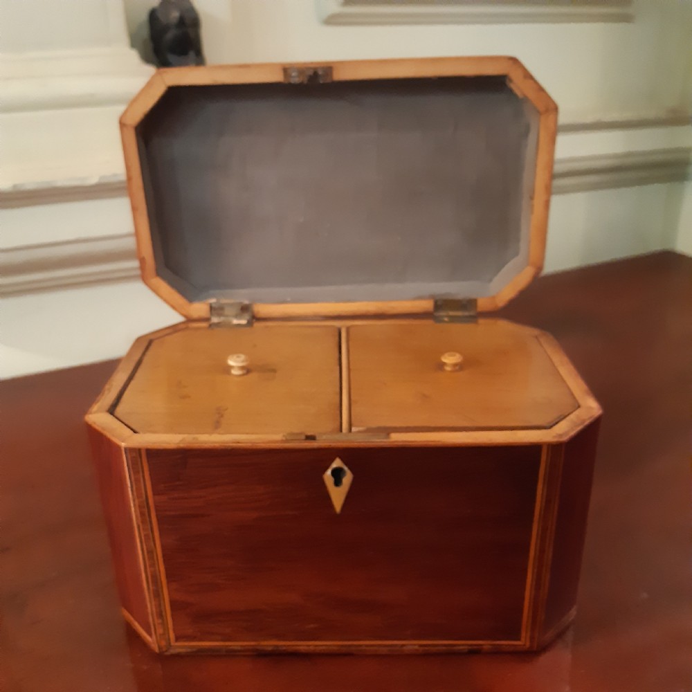 Partridge wood tea caddy View VI