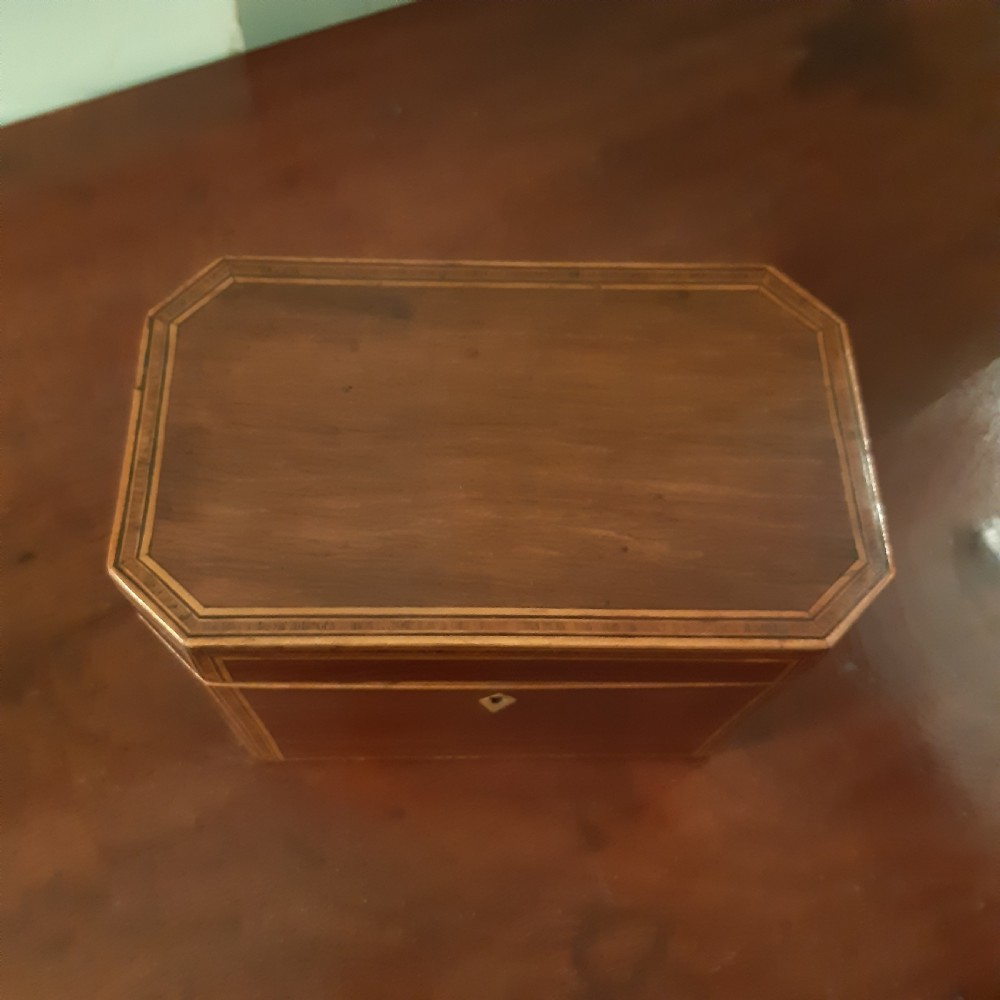 Partridge wood tea caddy View VII
