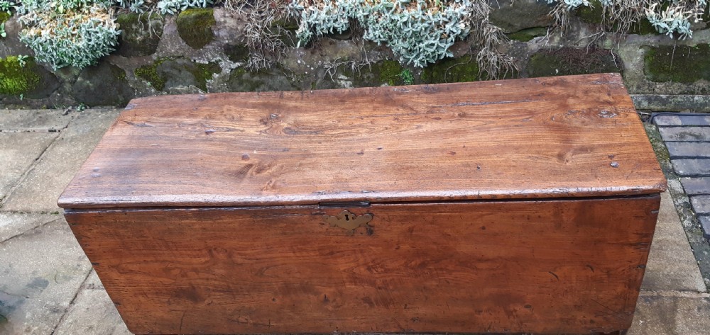Elm coffer, sword chest  View IV