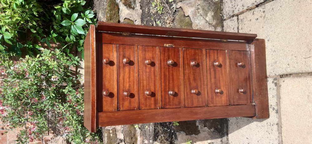 19th century mahogany Wellington chest View VIII
