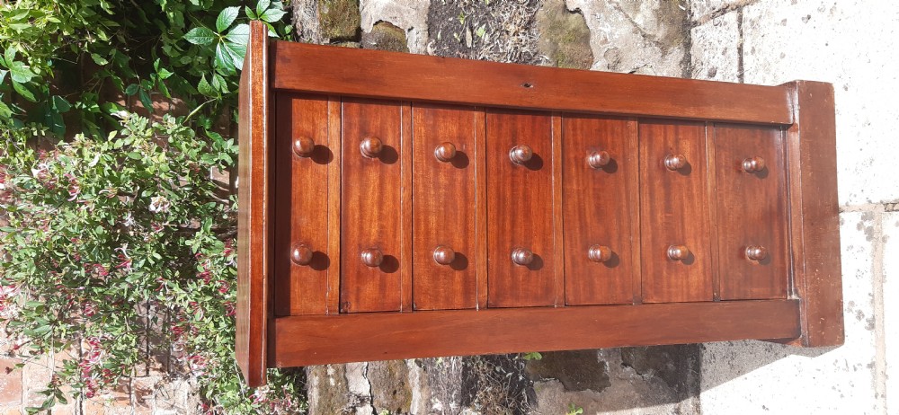 19th century mahogany Wellington chest View IX
