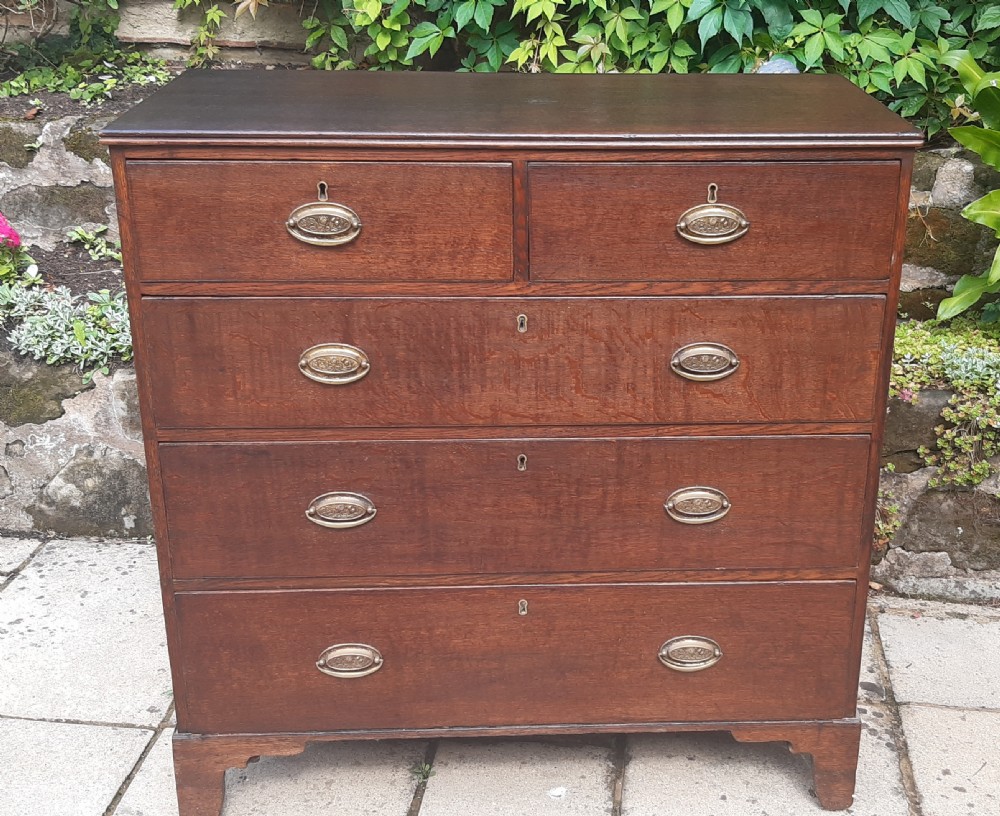 A Georgian dark oak chest of drawers featuring two short drawers over three long drawers with oval brass handles and bracket feet.