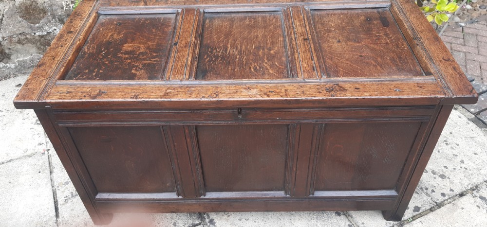 Oak coffer View II