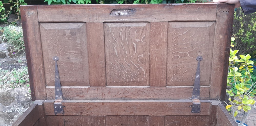 Oak coffer View IX
