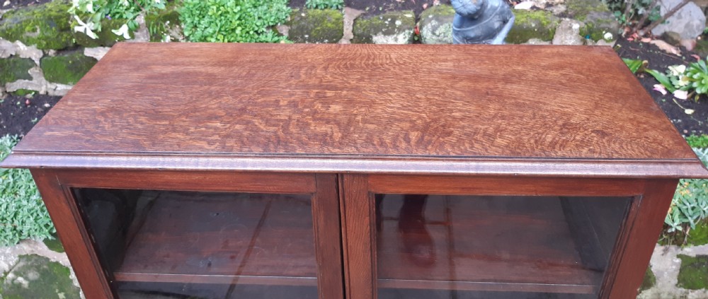 Glazed bookcase View III