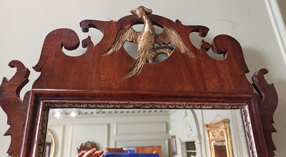 Georgian mahogany fretwork hoho bird wall mirror  View II