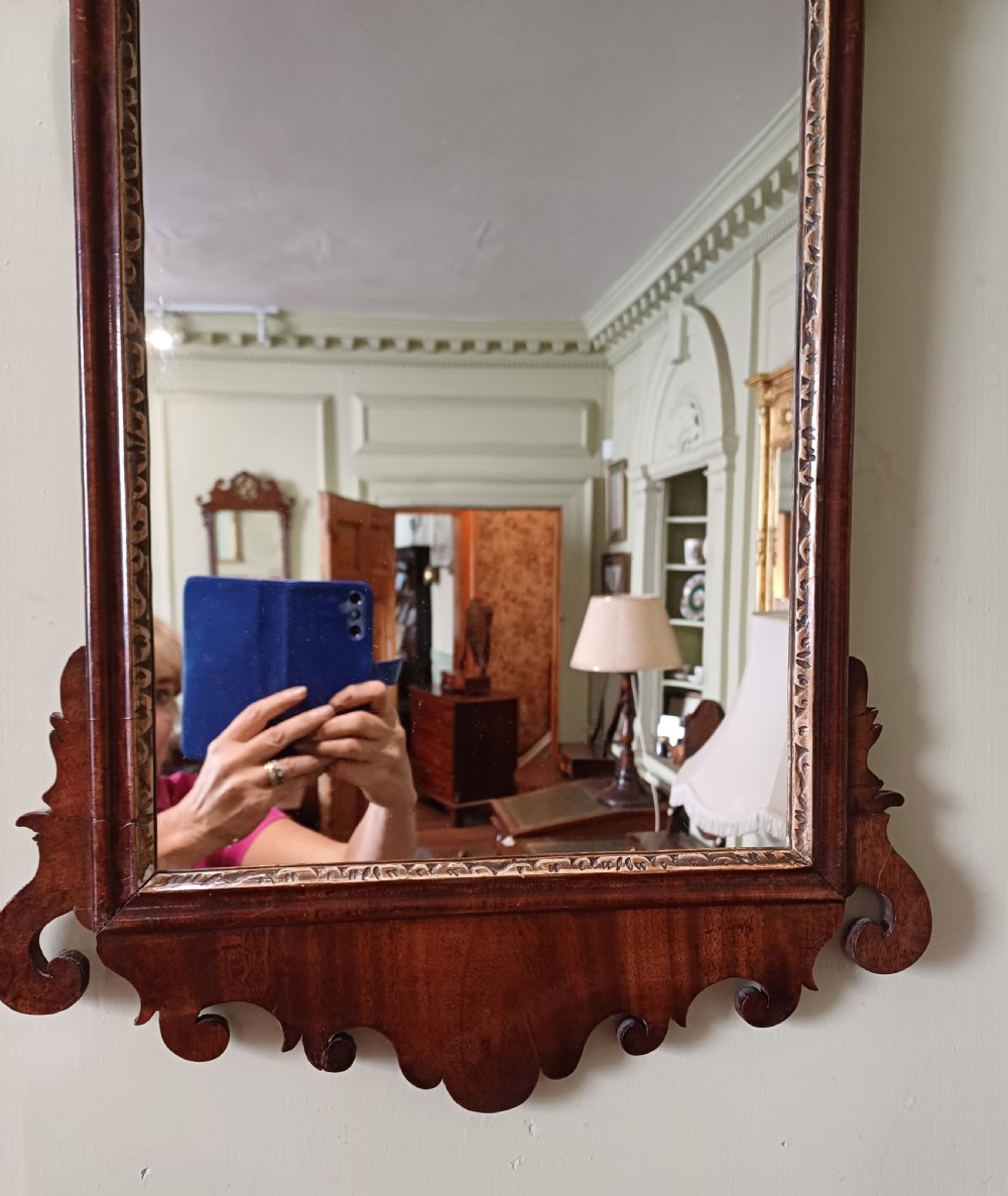 Georgian mahogany fretwork hoho bird wall mirror  View IV