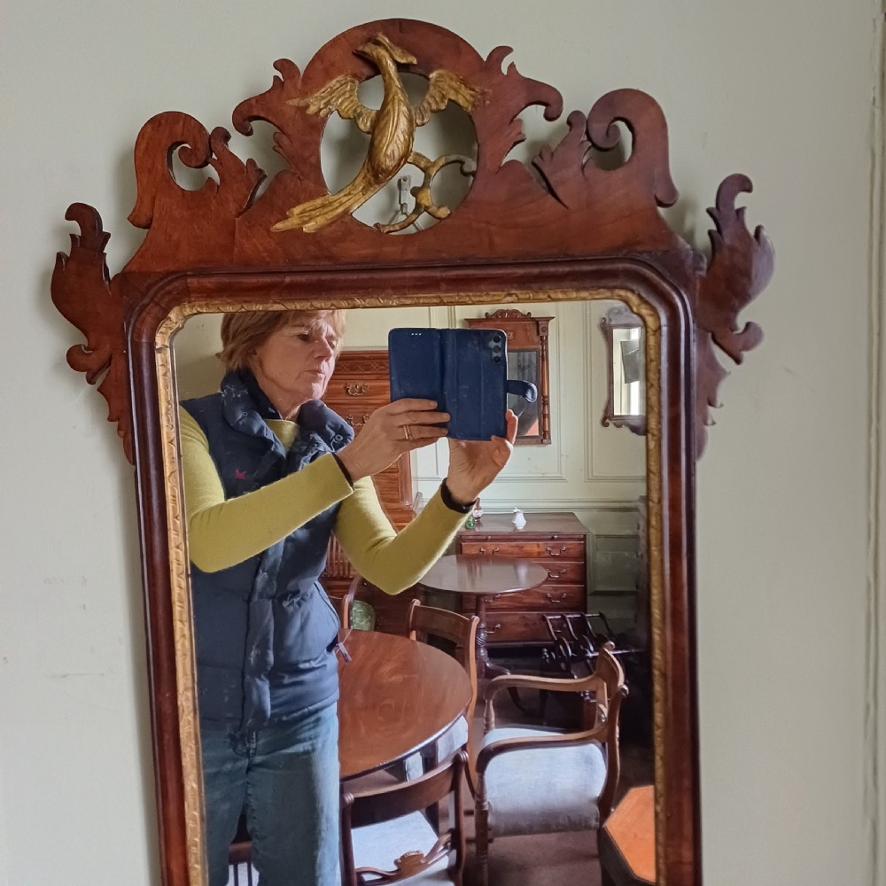 Georgian fret fretwork wall mirror with hoho bird  View II