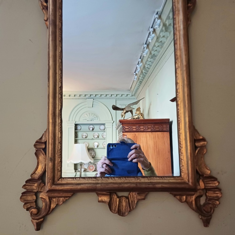 Giltwood  gilt wall pier mirror View VI