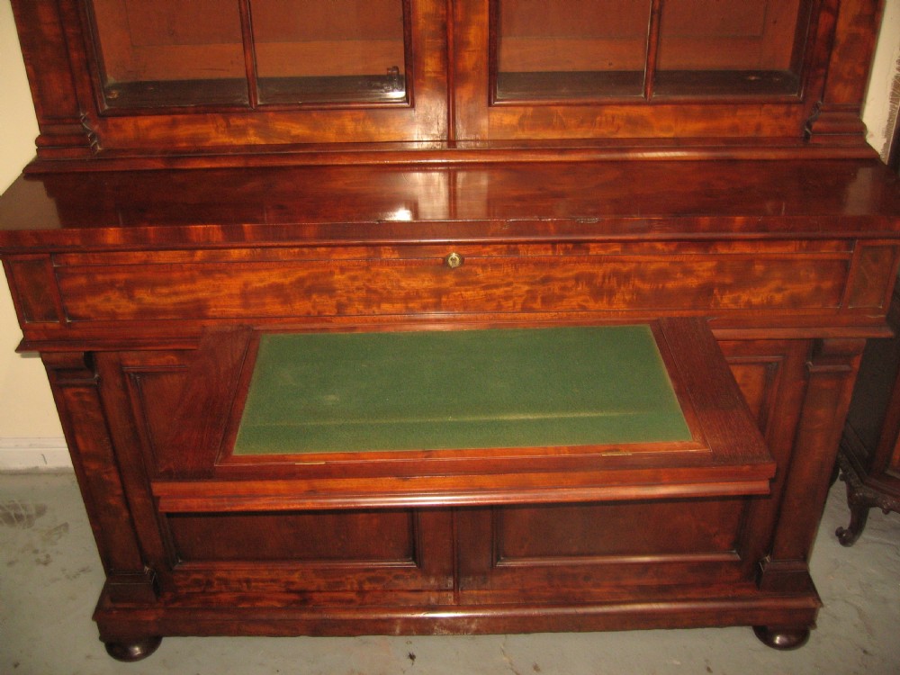 Large  19th century mahogany cupboard bookcase View III