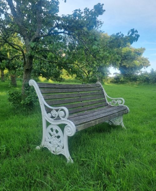 A CAST IRON GARDEN BENCH TO CELEBRATE QUEENS VICTORIA'S GOLDEN JUBILEE IN 1887 - ADDITIONAL PHOTO 7