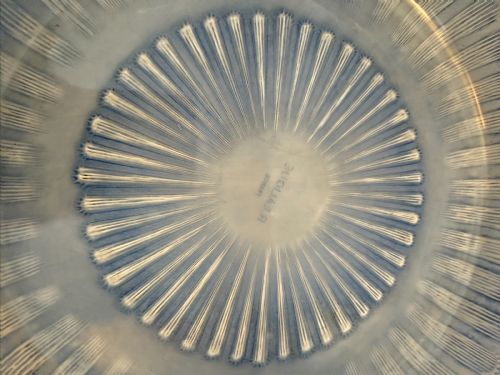 EARLY 20TH CENTURY PALE BLUE R LALIQUE BOWL - ADDITIONAL PHOTO 2