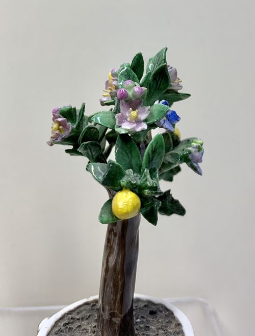 RARE PAIR MEISSEN MARCOLINI LEMON TREES IN TUBS CIRCA 1790 PORCELAIN - ADDITIONAL PHOTO 12