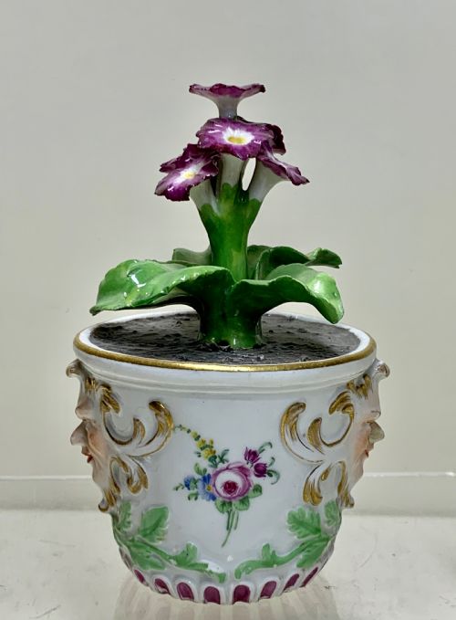 RARE MEISSEN MARCOLINI FLOWER PLANT IN A TUB CIRCA 1780 PORCELAIN - ADDITIONAL PHOTO 3