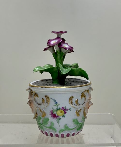 RARE MEISSEN MARCOLINI FLOWER PLANT IN A TUB CIRCA 1780 PORCELAIN - ADDITIONAL PHOTO 4