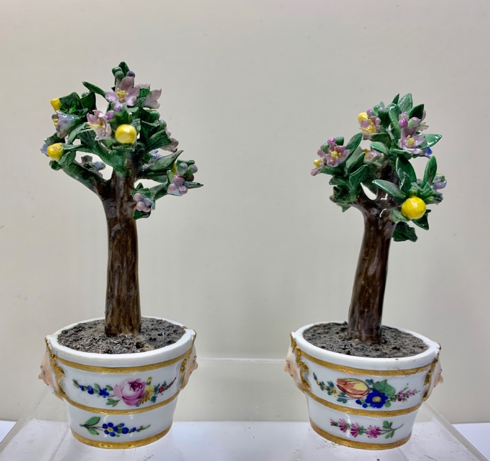 Rare pair Meissen Marcolini Lemon Trees in Tubs Circa 1790 Porcelain 