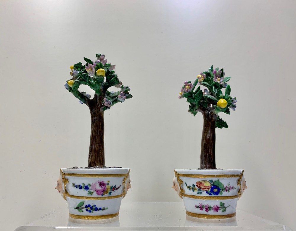 Rare pair Meissen Marcolini Lemon Trees in Tubs Circa 1790 Porcelain  View II