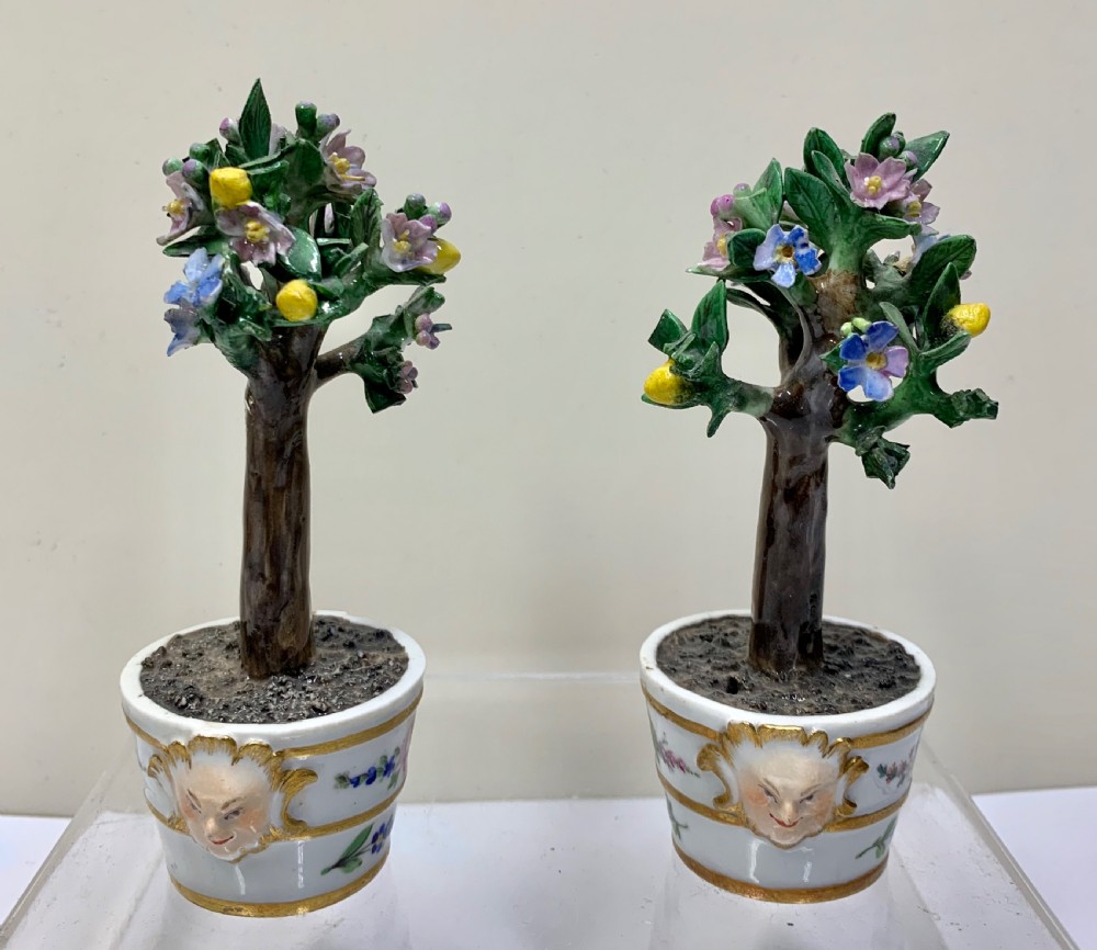 Rare pair Meissen Marcolini Lemon Trees in Tubs Circa 1790 Porcelain  View III