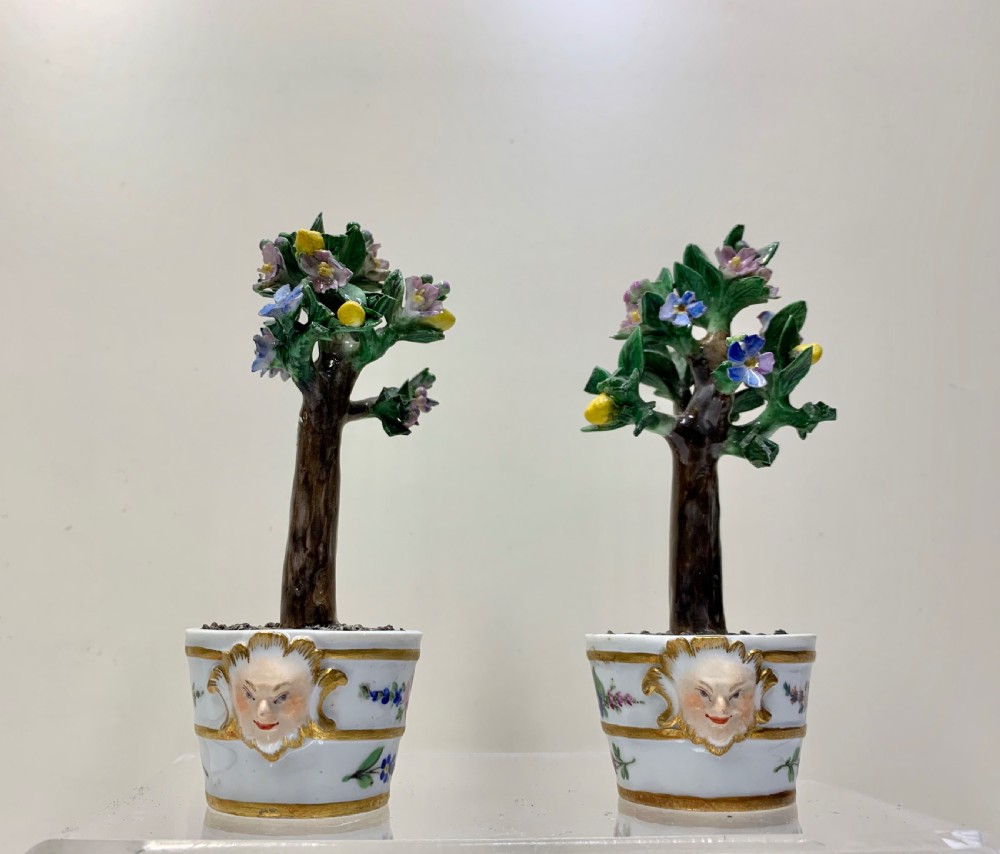 Rare pair Meissen Marcolini Lemon Trees in Tubs Circa 1790 Porcelain  View IV