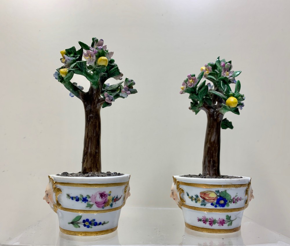 Rare pair Meissen Marcolini Lemon Trees in Tubs Circa 1790 Porcelain  View VI