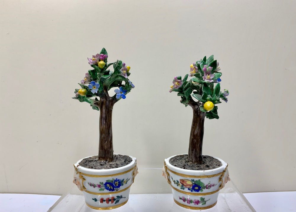 Rare pair Meissen Marcolini Lemon Trees in Tubs Circa 1790 Porcelain  View IX