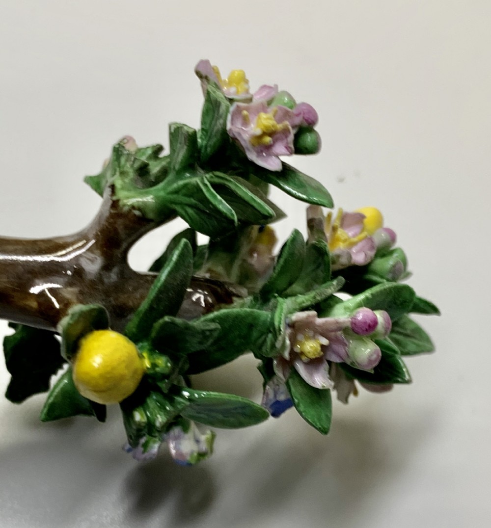 Rare pair Meissen Marcolini Lemon Trees in Tubs Circa 1790 Porcelain  View XX