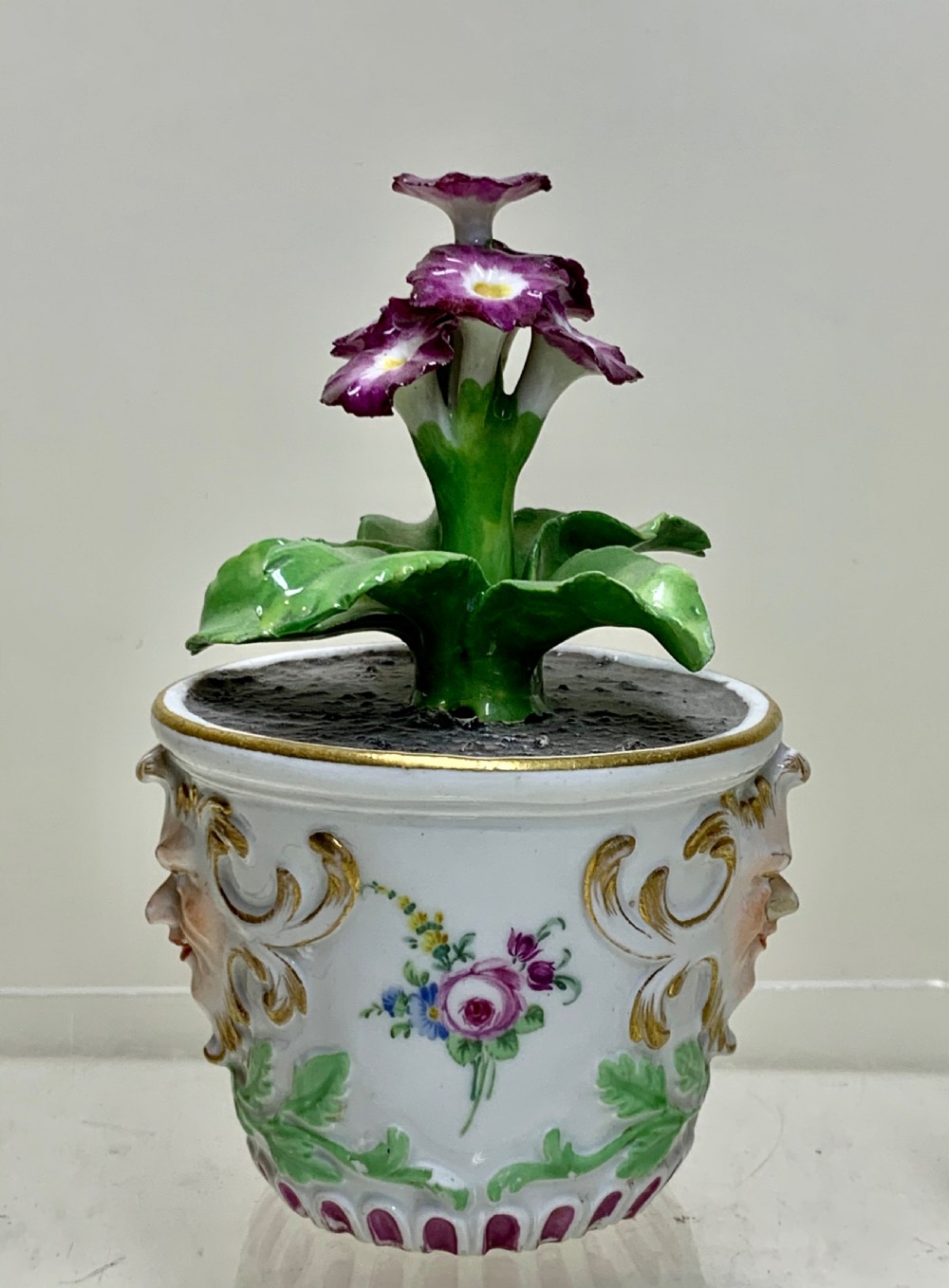 An 18th-century Meissen porcelain botanical sculpture featuring purple flowers and green leaves inside a white potted tub decorated with a mascaron mask and gold scrollwork. View IV