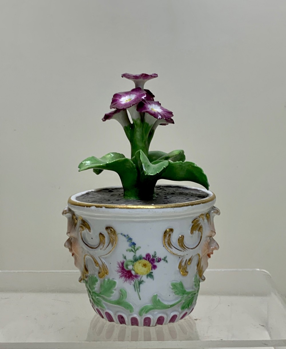 An 18th-century Meissen porcelain botanical sculpture featuring purple flowers and green leaves inside a white potted tub decorated with a mascaron mask and gold scrollwork. View V
