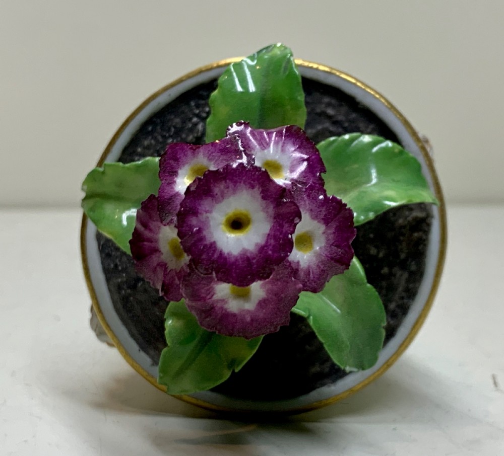 An 18th-century Meissen porcelain botanical sculpture featuring purple flowers and green leaves inside a white potted tub decorated with a mascaron mask and gold scrollwork. View VI