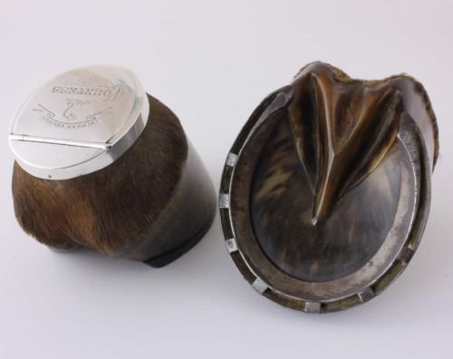 fig 2. Silver Horse Hoof Inkwell & Snuff Box. Countess Vincet Veritas. 1868.