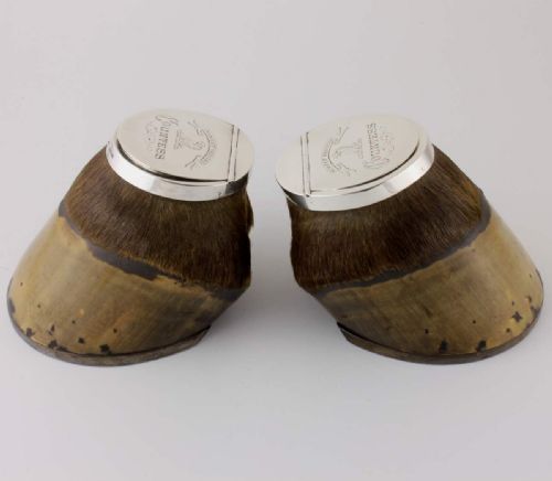 fig 4. Silver Horse Hoof Inkwell & Snuff Box. Countess Vincet Veritas. 1868.