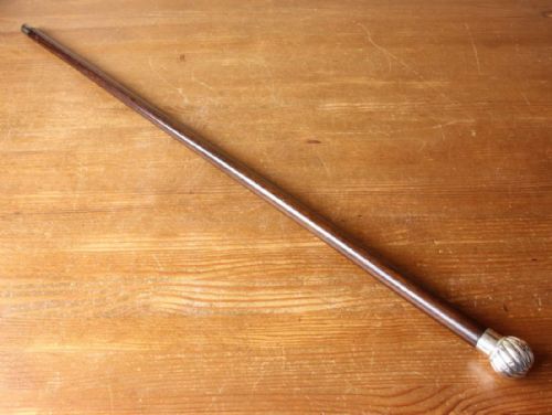 fig 1. Silver Topped Walking Stick