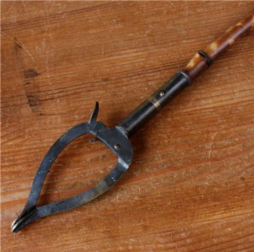 Victorian Bamboo Library Book Grabber.