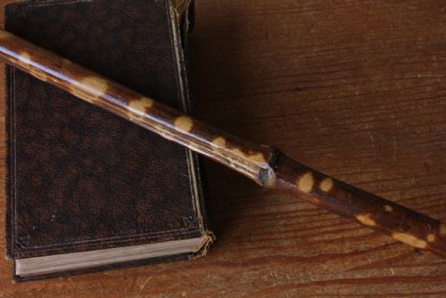 fig 2. Victorian Bamboo Library Book Grabber.